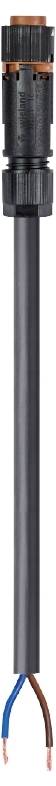 Wieland Electric 46.422.0537.4 Anschlussleitung Schwarz