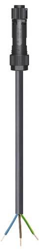 Wieland Electric 46.433.8003.1 Anschlussleitung Schwarz