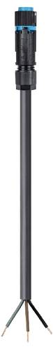 Wieland Electric 46.433.3033.9 Anschlussleitung Schwarz
