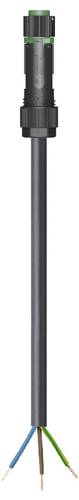 Wieland Electric 46.433.3035.7 Anschlussleitung Schwarz