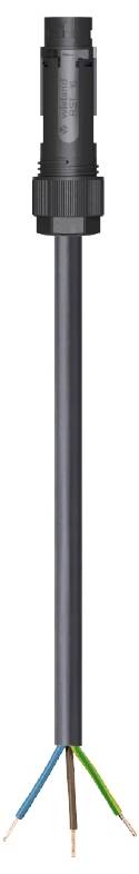 Wieland Electric 46.433.8034.1 Anschlussleitung Schwarz