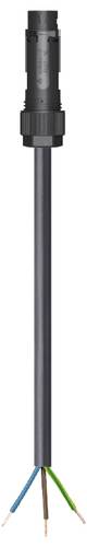 Wieland Electric 46.433.4004.1 Anschlussleitung Schwarz