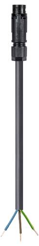 Wieland Electric 46.432.2004.1 Anschlussleitung Schwarz