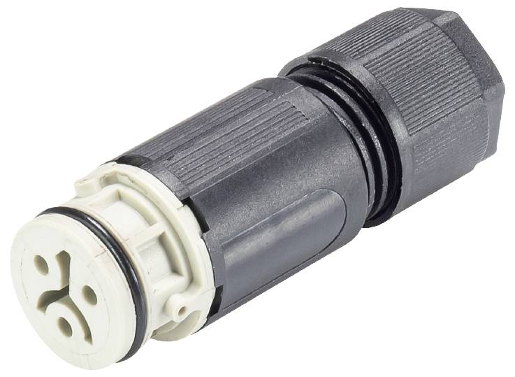 Wieland Electric 4L.021.3041.8 Steckverbinder