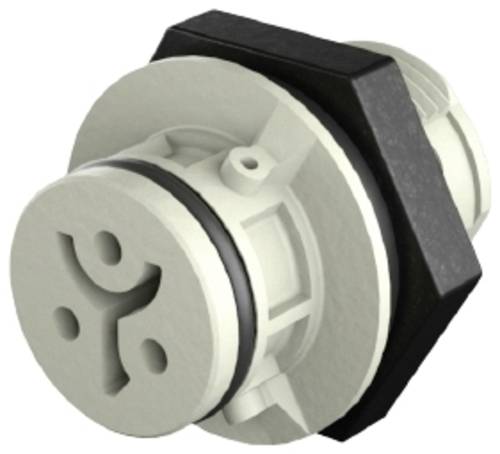 Wieland Electric 4L.021.4041.8 Geräteanschluss