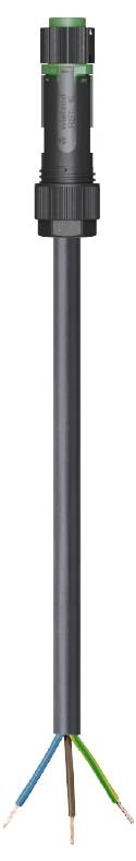 Ein Stecker mit schwarzem Kabel, das in vier farbige Drahtenden endet: blau, braun, grün-gelb und grau.