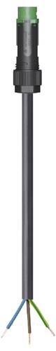 Wieland Electric 46.433.6036.7 Anschlussleitung Schwarz