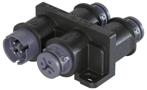 Wieland Electric 4L.030.0141.4 Verteiler