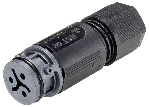 Wieland Electric 4L.031.3041.4 Steckverbinder