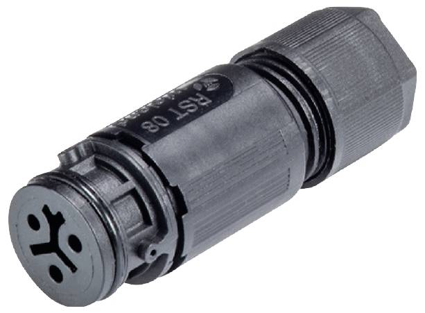 Wieland Electric 4L.031.3053.1 Steckverbinder