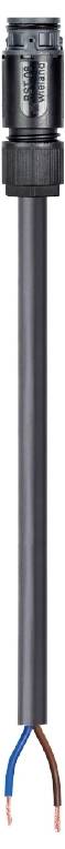 Wieland Electric 4L.427.1537.4 Anschlussleitung Schwarz