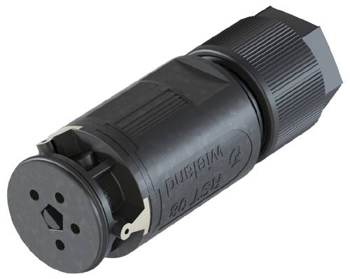 Wieland Electric 4L.041.3041.8 Steckverbinder