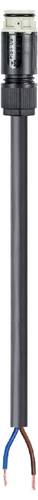 Wieland Electric 4L.427.4037.8 Anschlussleitung Schwarz