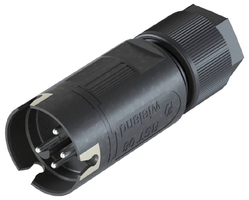 Wieland Electric 4L.042.3041.8 Steckverbinder