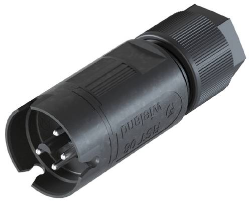 Wieland Electric 4L.042.3053.1 Steckverbinder