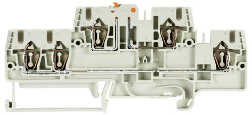Wieland Electric 56.703.6555.0 Messertrennklemme Federzuganschluss Grau 50 St.