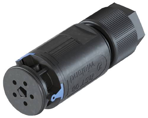Wieland Electric 4L.051.3043.9 Steckverbinder