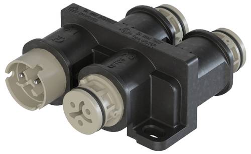 Wieland Electric 4L.020.0241.8 Verteiler