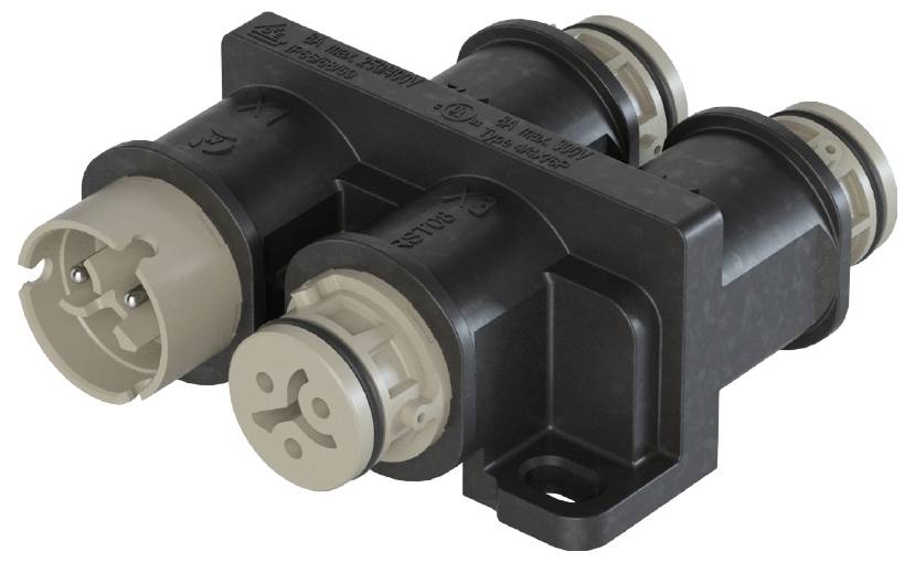 Wieland Electric 4L.020.0241.8 Verteiler