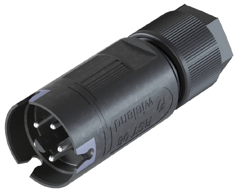 Wieland Electric 4L.052.3041.4 Steckverbinder