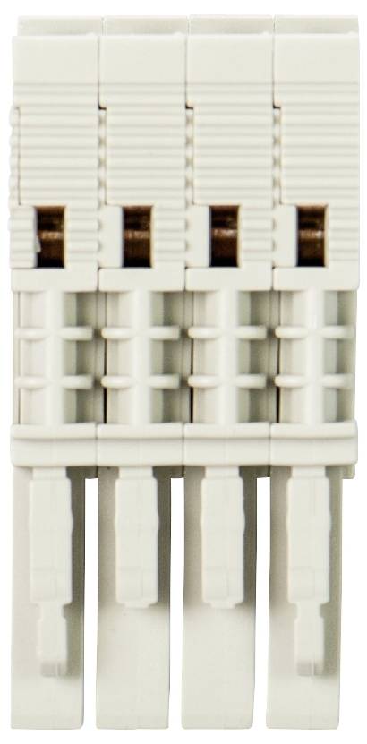 Wieland Electric 59.903.0455.0 Buchsenstecker Federzuganschluss, Steckanschluss Grau 50St.