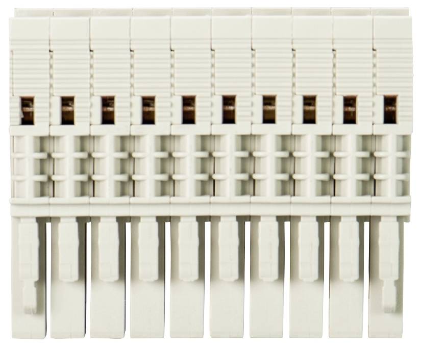 Wieland Electric 59.903.0855.0 Buchsenstecker Schrauben, Steckanschluss Grau 25St.