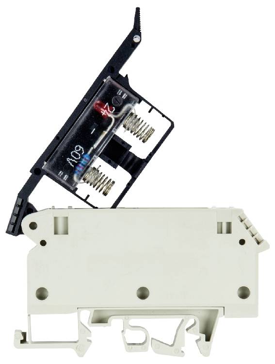 Wieland Electric 57.904.6655.0 Sicherungsklemme Schrauben Grau 50St.