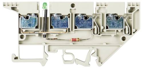 Wieland Electric 57.503.7255.0 Initiatorenklemme Schrauben Grau 50 St.