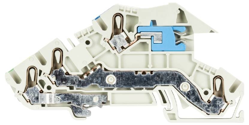 Wieland Electric 56.203.9553.0 Installationsklemme Steckanschluss 50St.