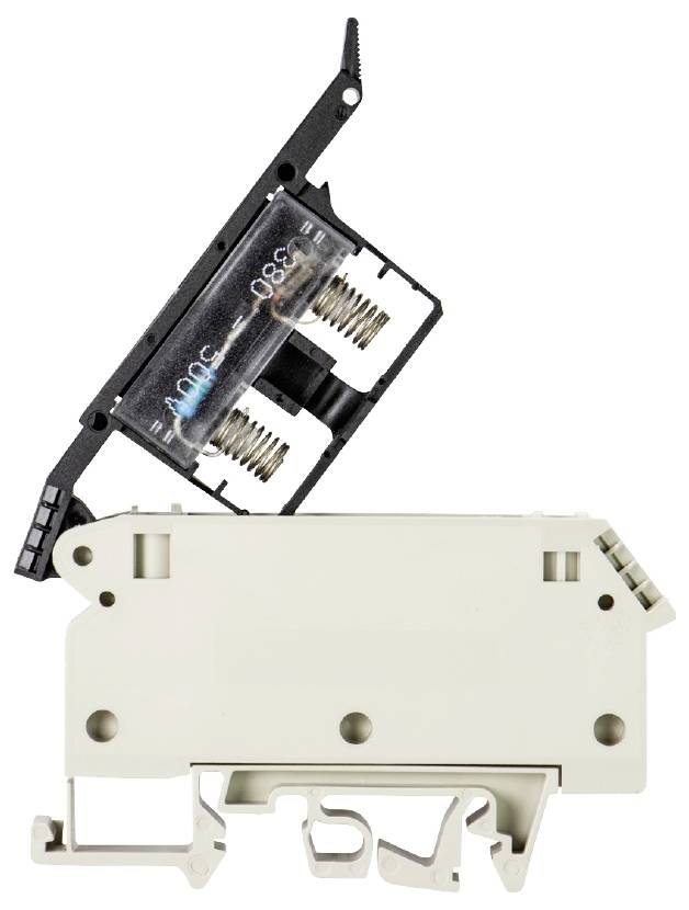 Wieland Electric 57.904.6855.0 Sicherungsklemme Schrauben Grau 50St.