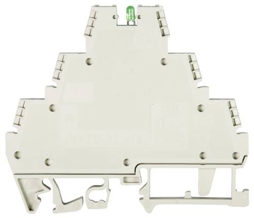 Wieland Electric 57.503.9055.0 Initiatorenklemme Schrauben Grau 50 St.