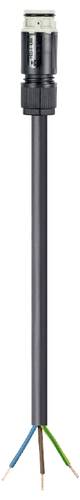 Wieland Electric 4L.437.3037.8 Anschlussleitung Schwarz