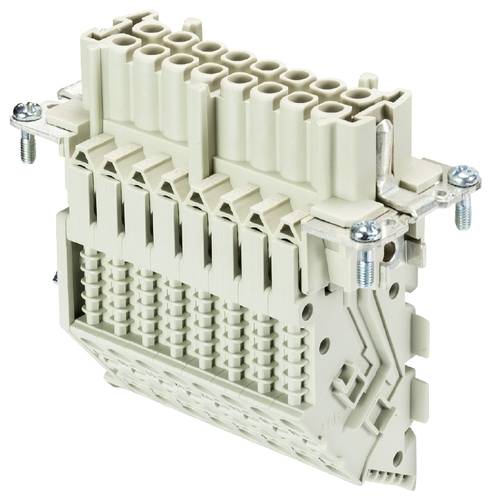 Wieland Electric 70.106.1653.0 Klemmenadapter Gesamtpolzahl 16 10 St.