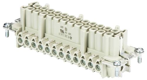 Wieland Electric 70.300.2440.0 Buchseneinsatz Gesamtpolzahl 24 10 St.