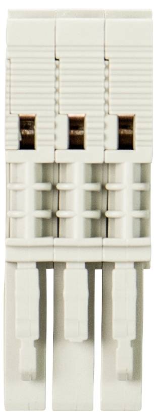 Wieland Electric 59.903.0355.0 Buchsenstecker Federzuganschluss, Steckanschluss Grau 50St.