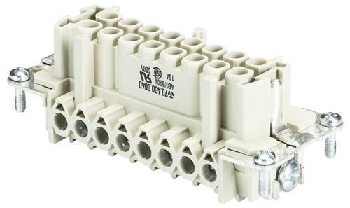 Wieland Electric 70.400.0640.0 Buchseneinsatz Gesamtpolzahl 6 10 St.