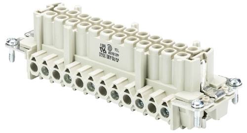 Wieland Electric 70.400.1040.0 Buchseneinsatz Gesamtpolzahl 10 10 St.