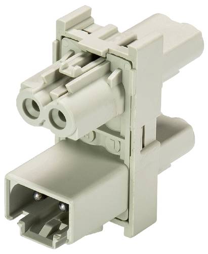 Wieland Electric 91.020.5353.0 Verteiler