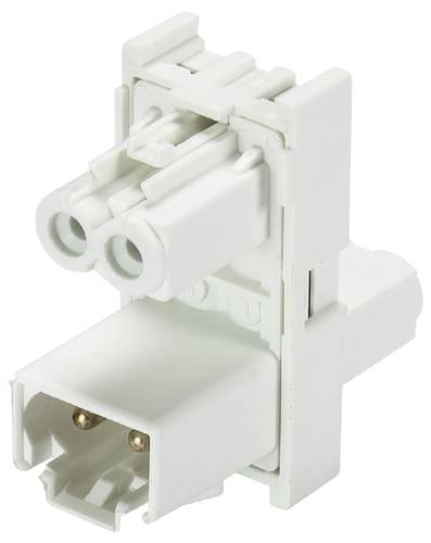 Wieland Electric 91.020.7053.0 Verteiler