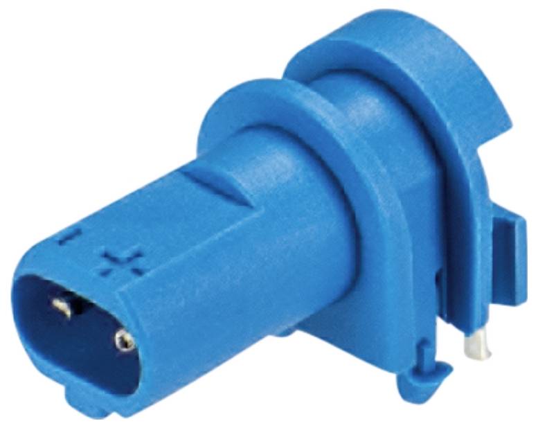 Ein blauer elektrischer Steckverbinder mit zwei Metallkontakten und Halteklammern.