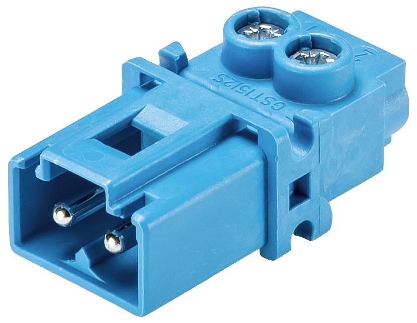 Ein blauer elektrischer Stecker mit zwei Metallstiften und zwei Schrauben für sichere Befestigung.