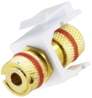 Goldener Lautsprecheranschlussstecker in weißem Gehäuse mit roten Markierungsringen, geeignet für Audiogeräte.