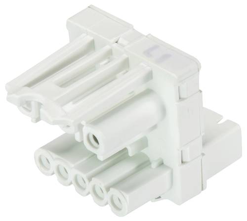 Wieland Electric 91.050.3151.0 Verteiler