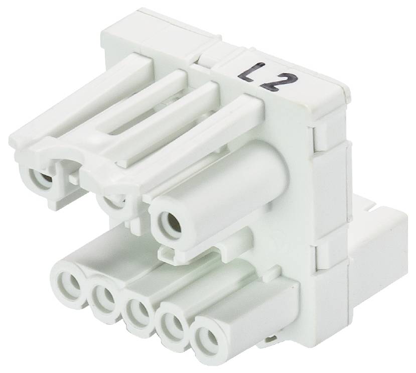 Wieland Electric 91.050.3251.0 Verteiler