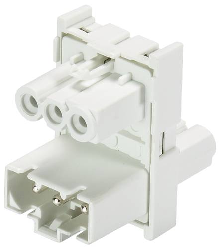 Wieland Electric 91.030.6053.0 Verteiler