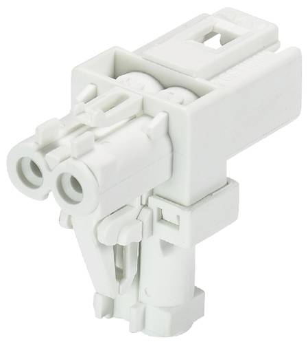 Wieland Electric 91.020.1053.0 Verteiler