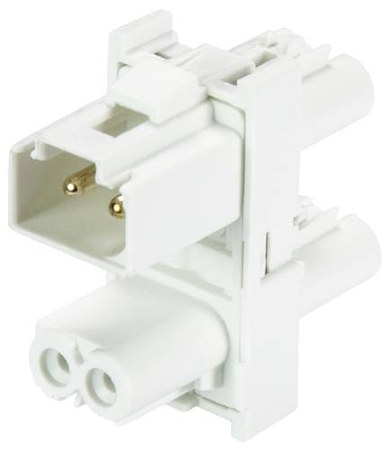 Wieland Electric 91.020.4953.0 Verteiler