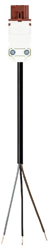 Wieland Electric 91.232.3003.4 Anschlussleitung Schwarz