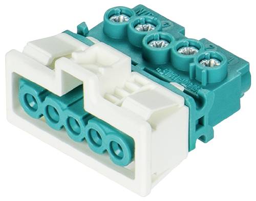 Wieland Electric 91.951.9653.0 Geräteanschluss