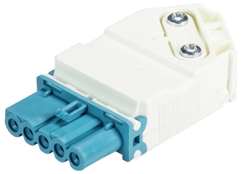 Ein weißer und blauer elektrischer Steckverbinder mit fünf Anschlusspunkten und zwei Schrauben zur Befestigung.